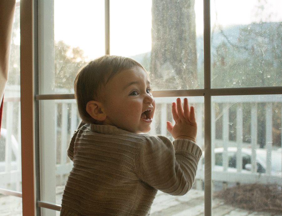 baby-standing-against-glass-door-family-photography
