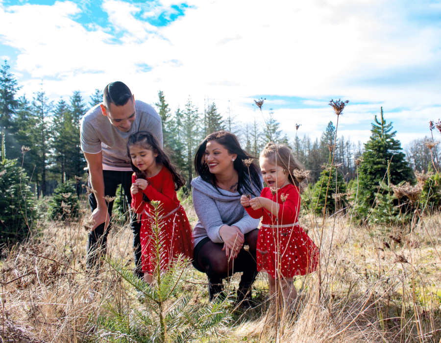 bailey-family-christmas-card-photos-group-photo-xmas-trees-straight