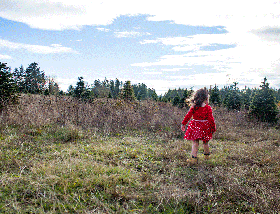 bailey-family-christmas-card-photos-toddler-exploring-through-open-field