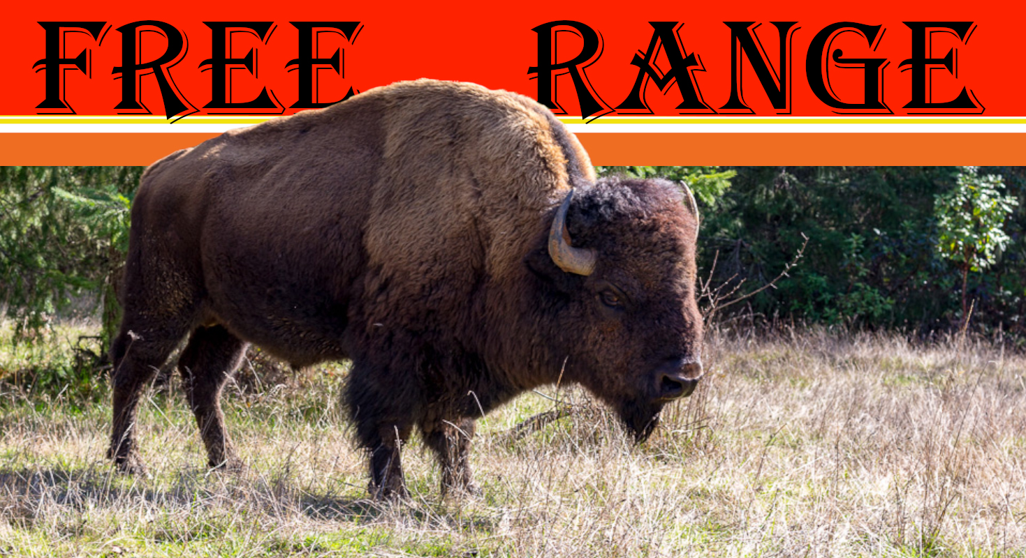 north-buffalo-ranch-website-banner-3-slider-burt-marketing-group