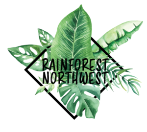 Rainforest Northest Logo 2 Facebook Profile Image-01