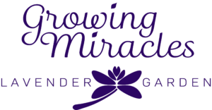 Growing Miracles Transparent Logo Dark Purple